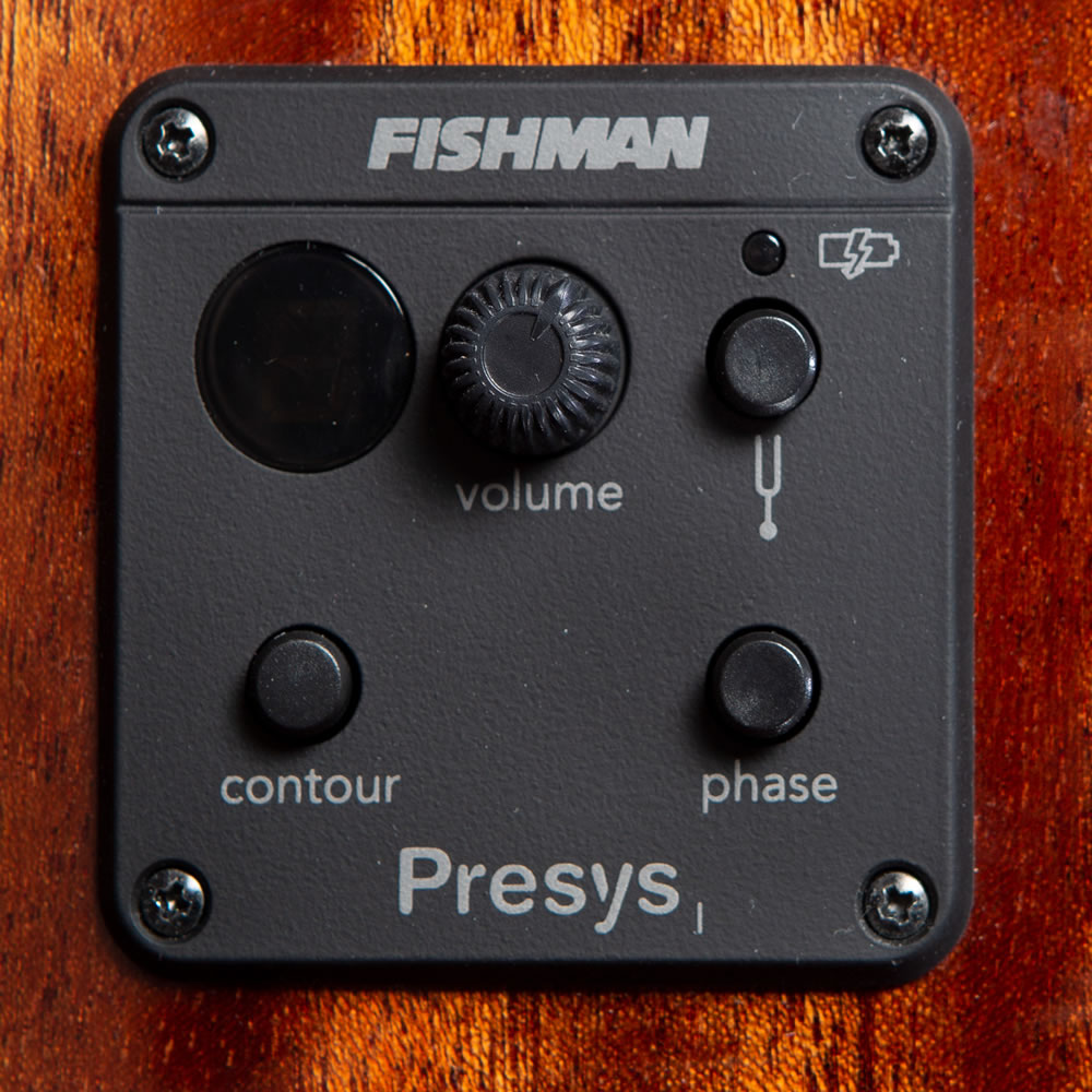 Bajo Electroacustico Breedlove DSCN44BCE - Image 4