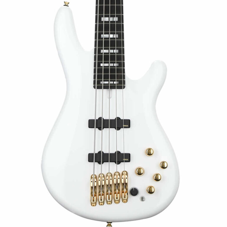 Bajo Electrico Nathan East Signatura BBNE2 vista Zoom perillas