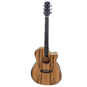 Guitarra Electroacústica con Armrest JMT WAG901CE