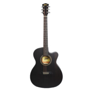 Guitarra Electroacústica JMT AF386CE-40