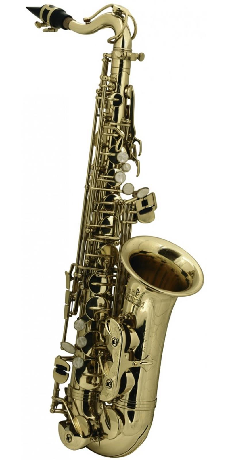 SAXOFON ROY BENSON MOD. AS-201