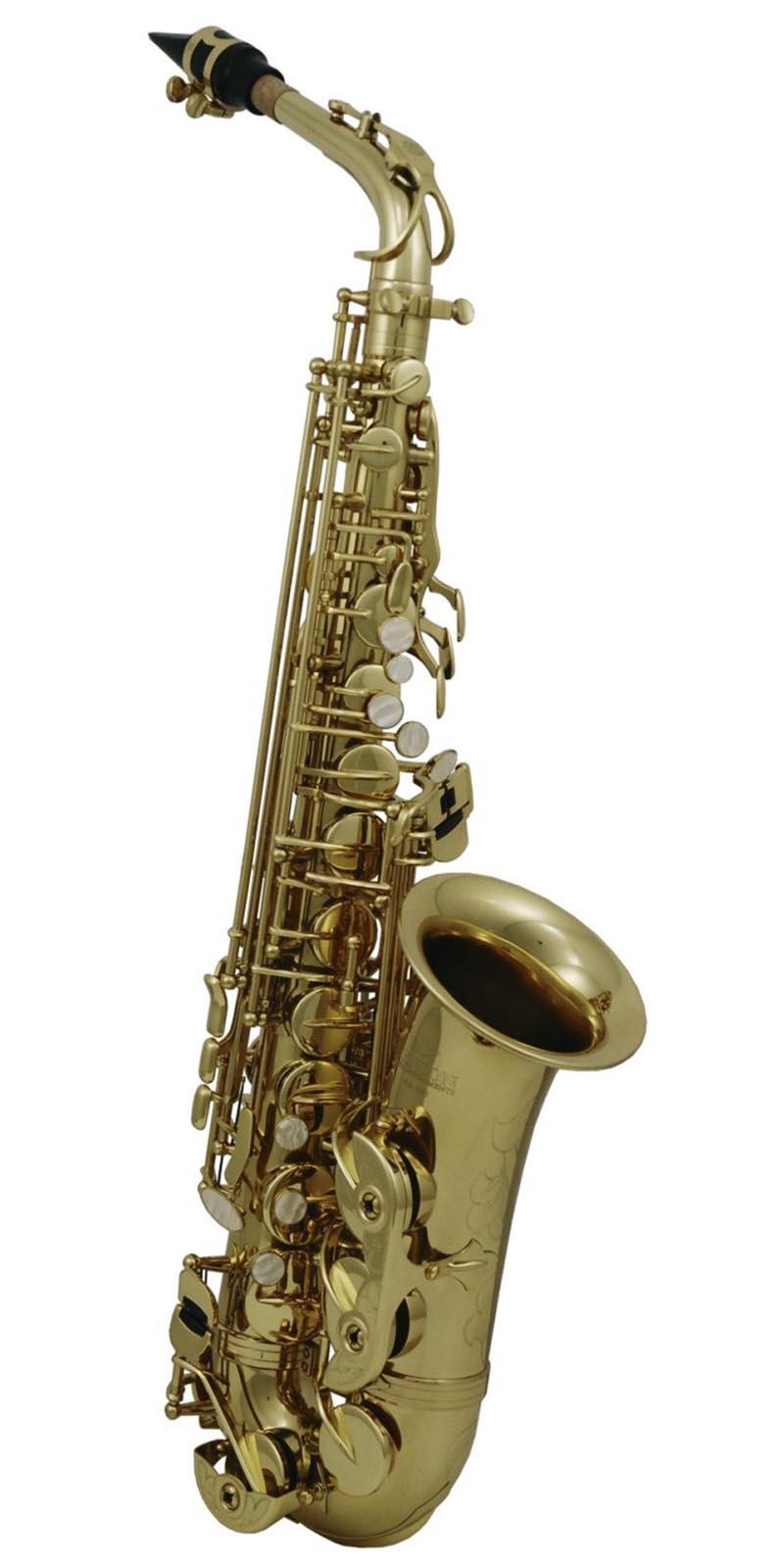 SAXOFON ROY BENSON MOD. AS-202