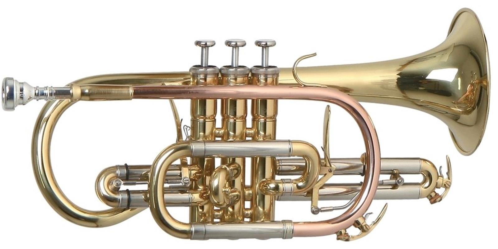 CORNETA ROY BENSON C/ESTUCHE CR-302