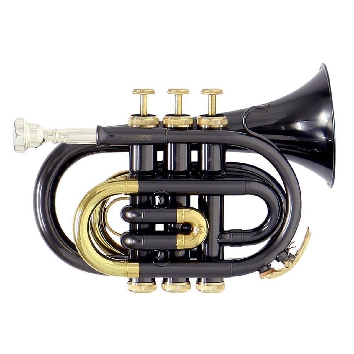 TROMPETA ROY BENSON C/ESTUCHE PT-101K