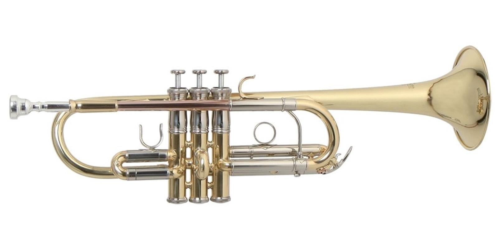 TROMPETA ROY BENSON C/ESTUCHE TR-402C