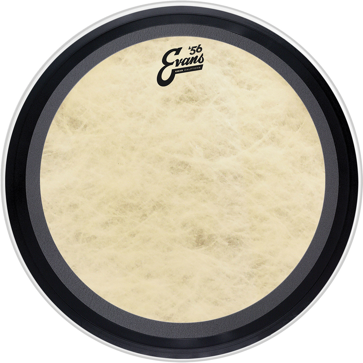 PARCHE EVANS 20 MOD. BD20EMADCT