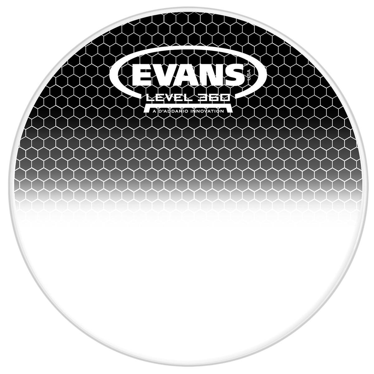 PARCHE EVANS 13 MOD. TT13SB1